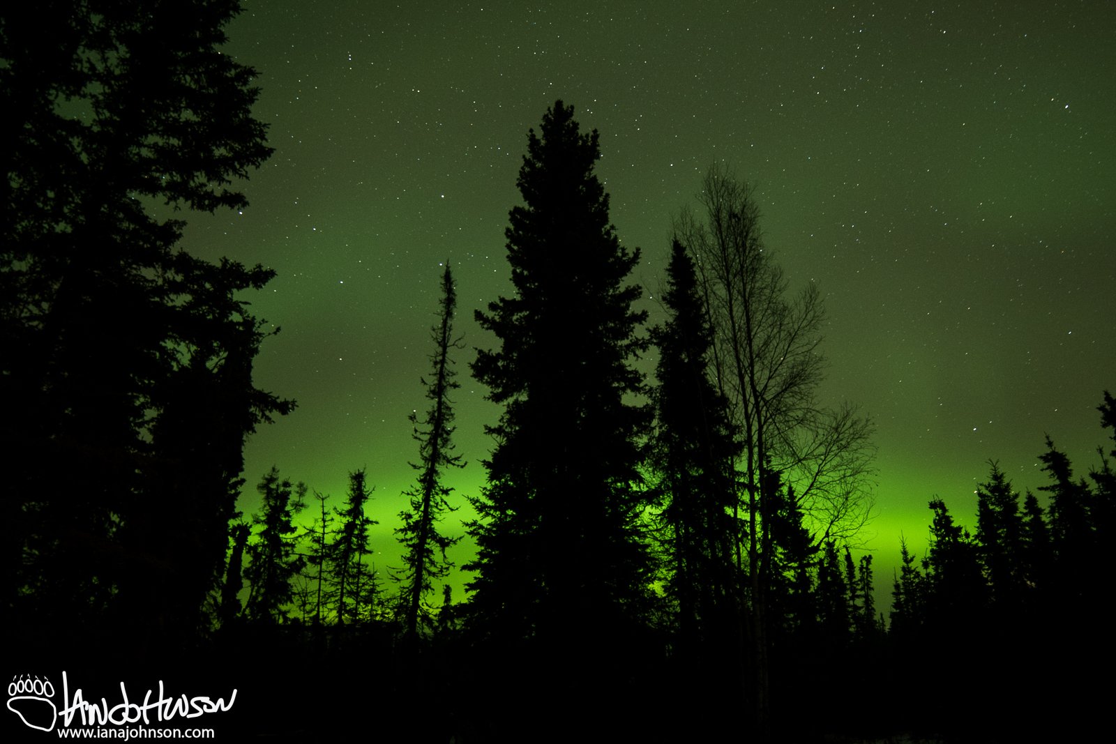 October 19th : Green glow of the Aurora Borealis