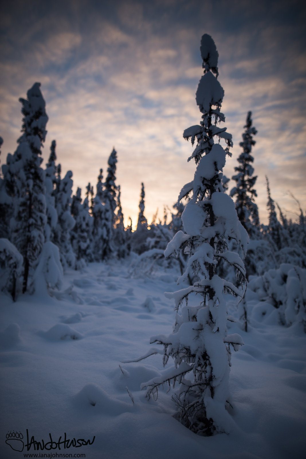 November 14th : Sunset in a winter wonderland