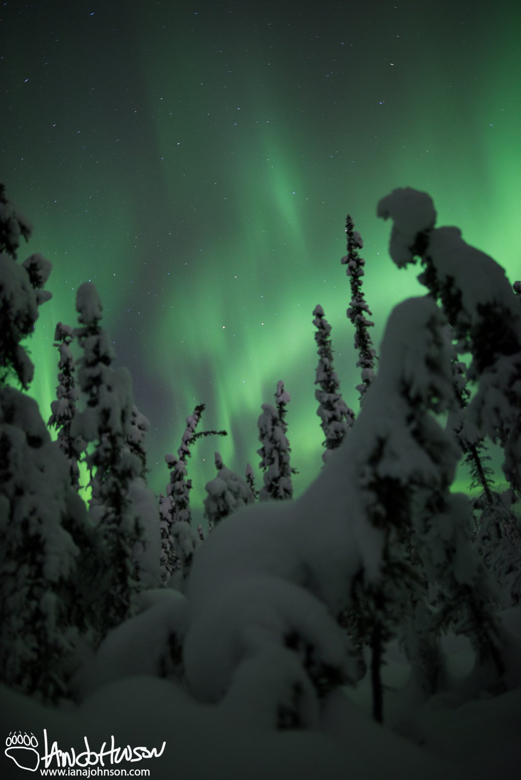 December 5th : Burst of Aurora in a winter wonderland
