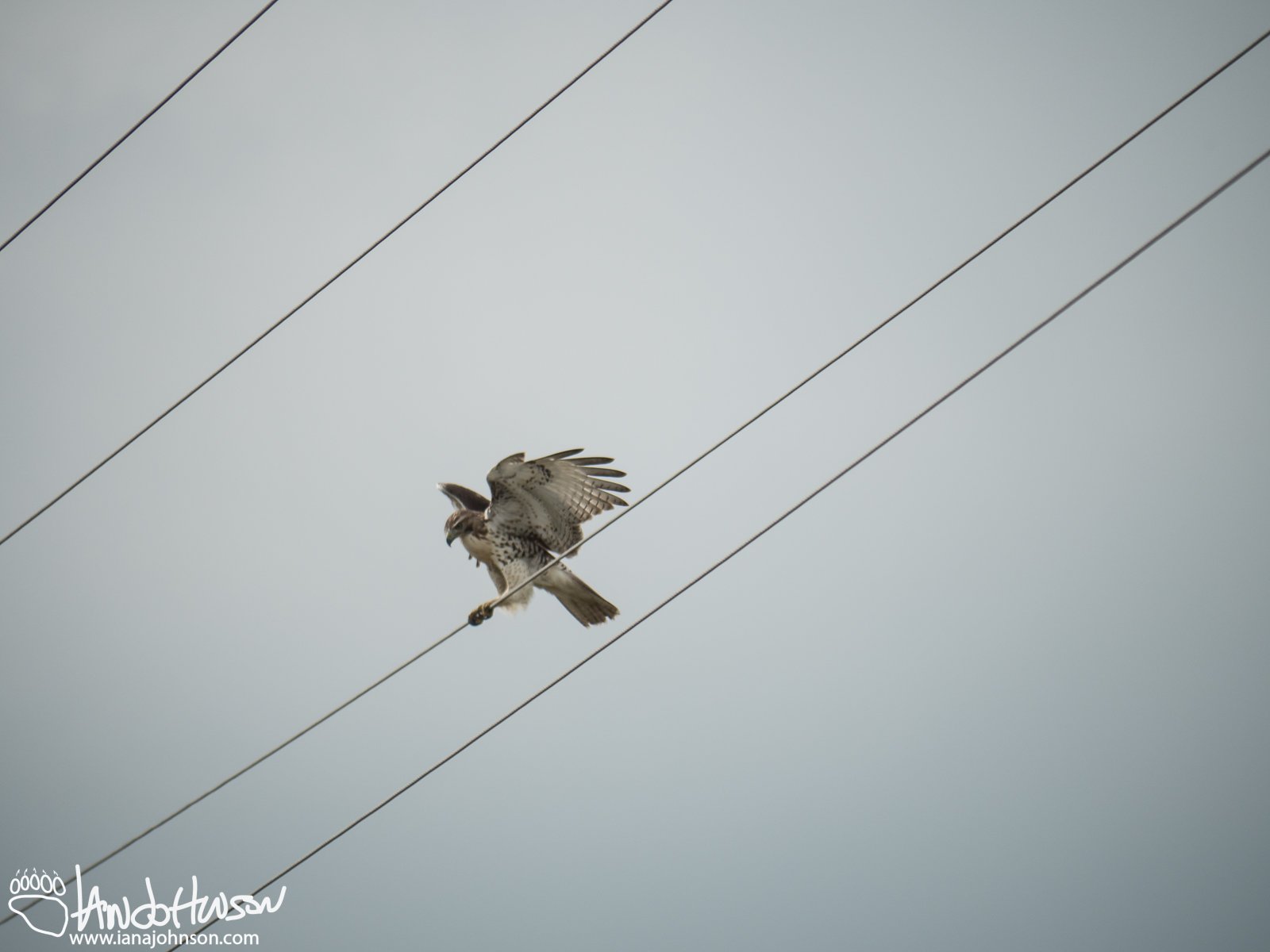 September 6th : Balancing act