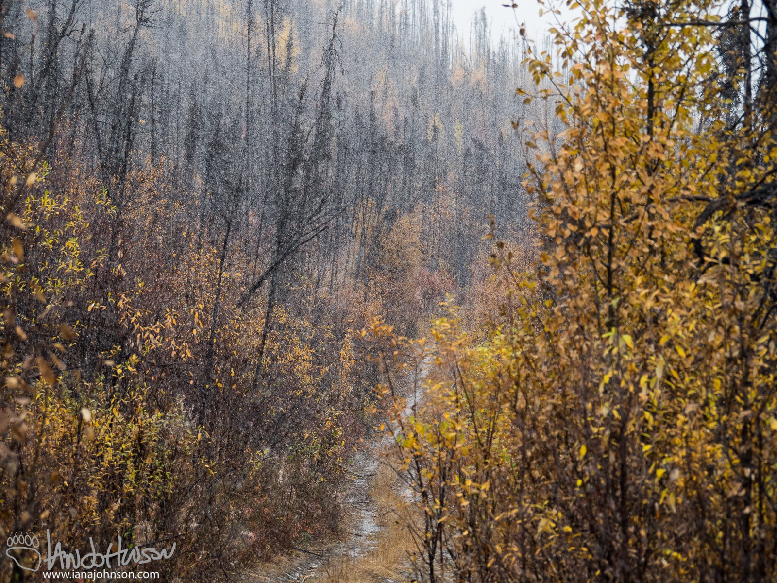 September 12th : Autumn Snow