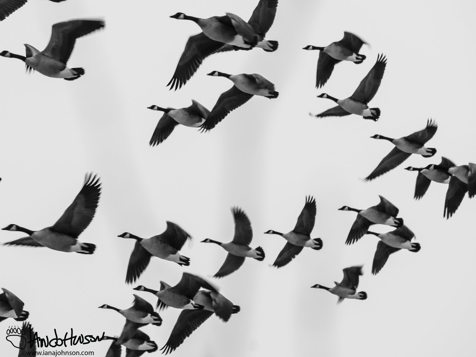December 23rd : Canadas overhead