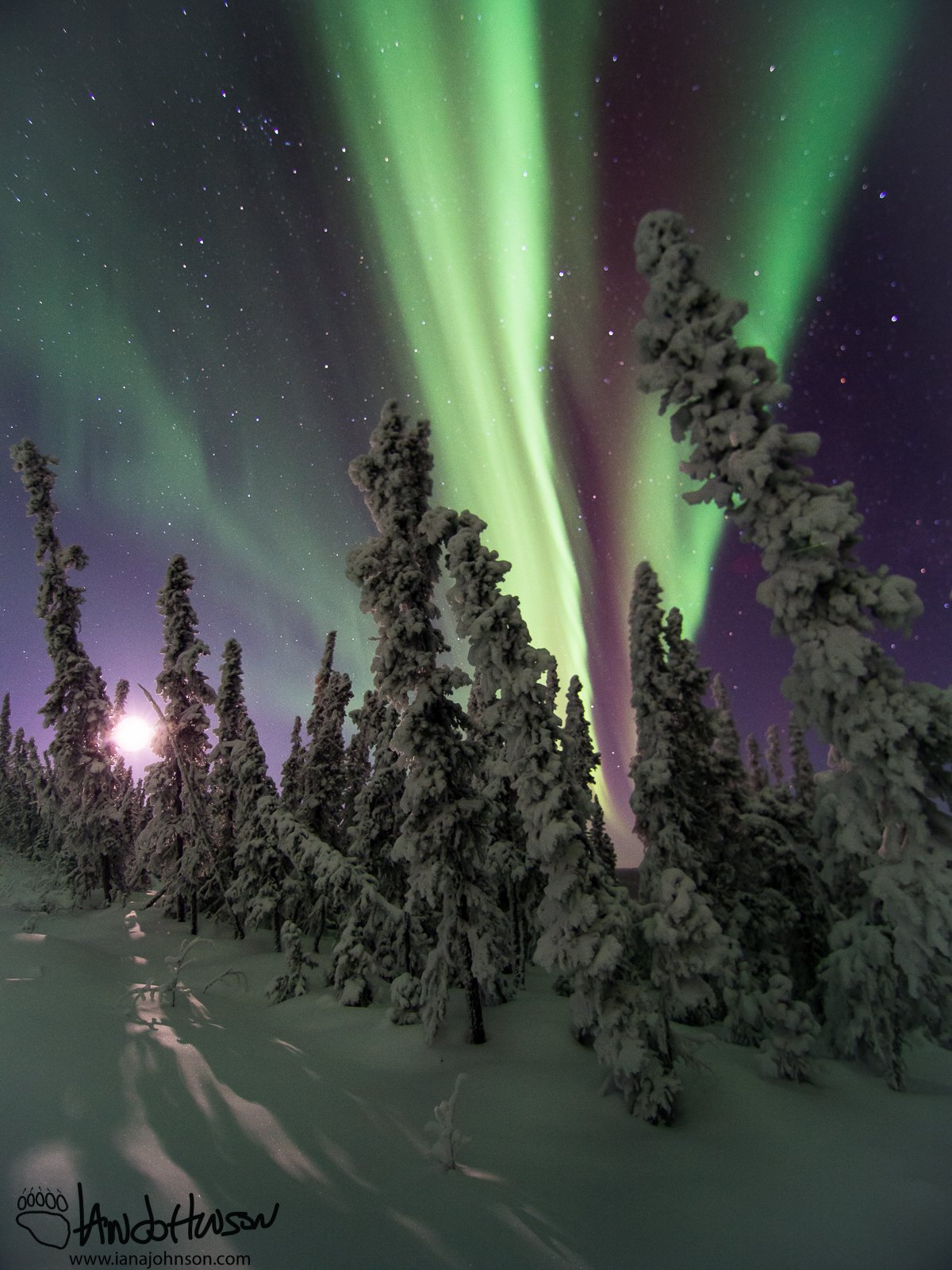 This is likely my best aurora image to date! I was really focusing on composition all night, and this one has all the pieces of a great image!!