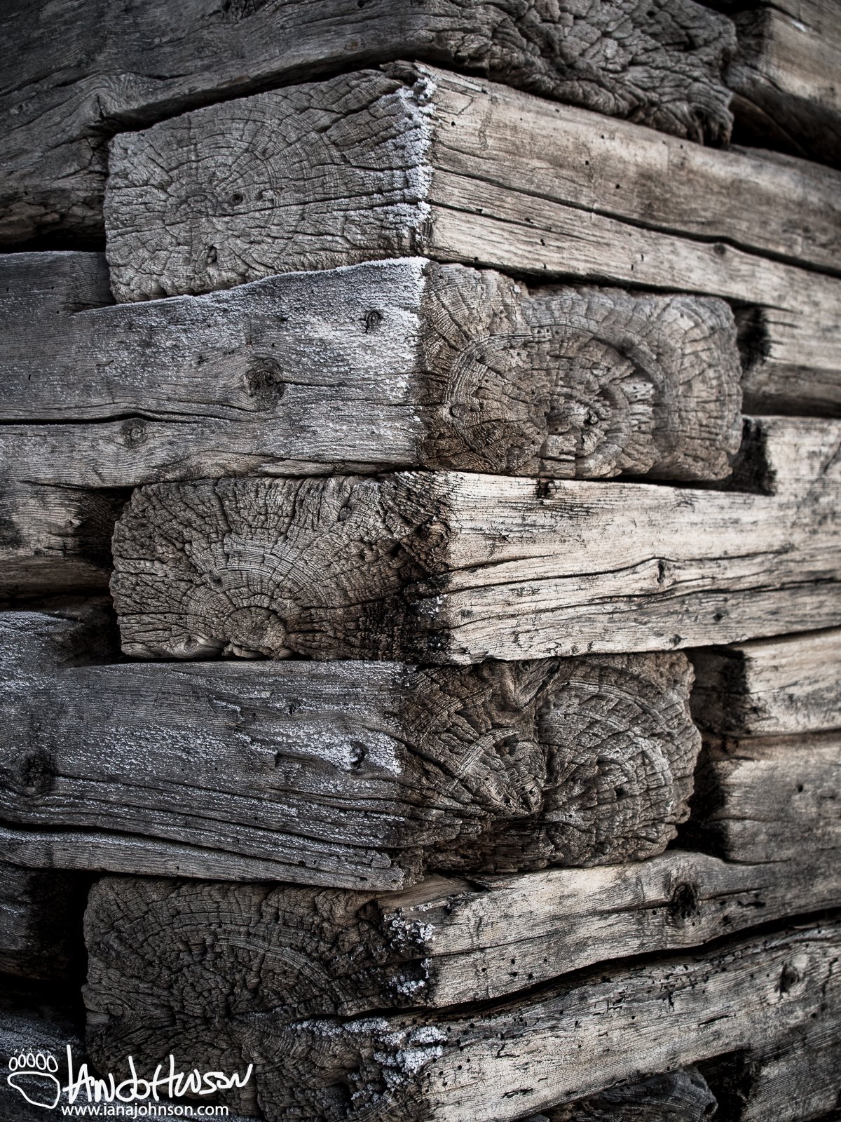February 3rd : Wood siding on the authentic sod hut at University of Alaska Fairbanks.