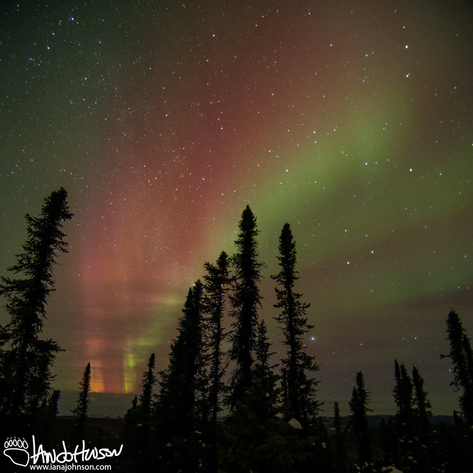 February 16th : A red aurora from a coronal hole