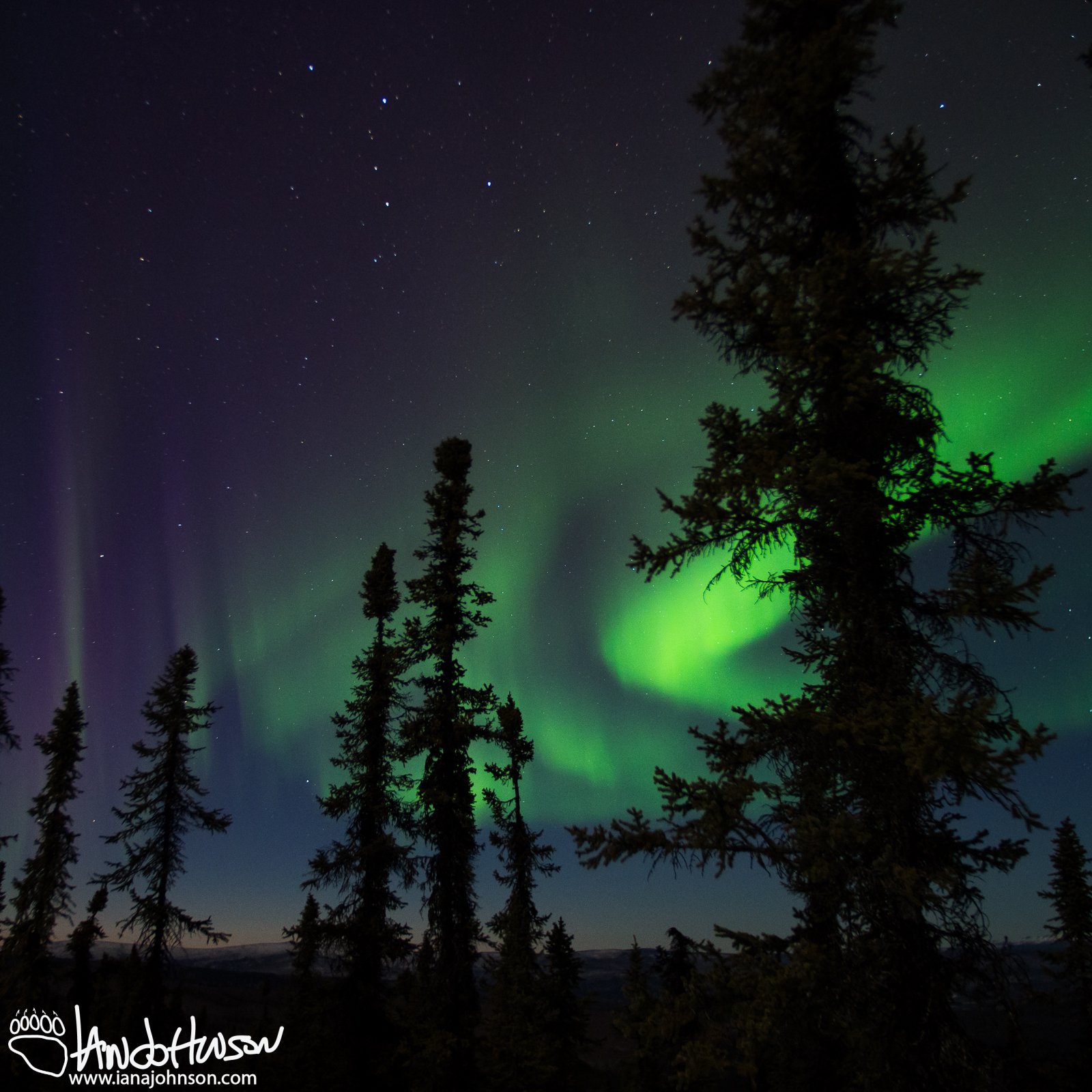 Green swirls of aurora combined with some Day Aurora on the left
