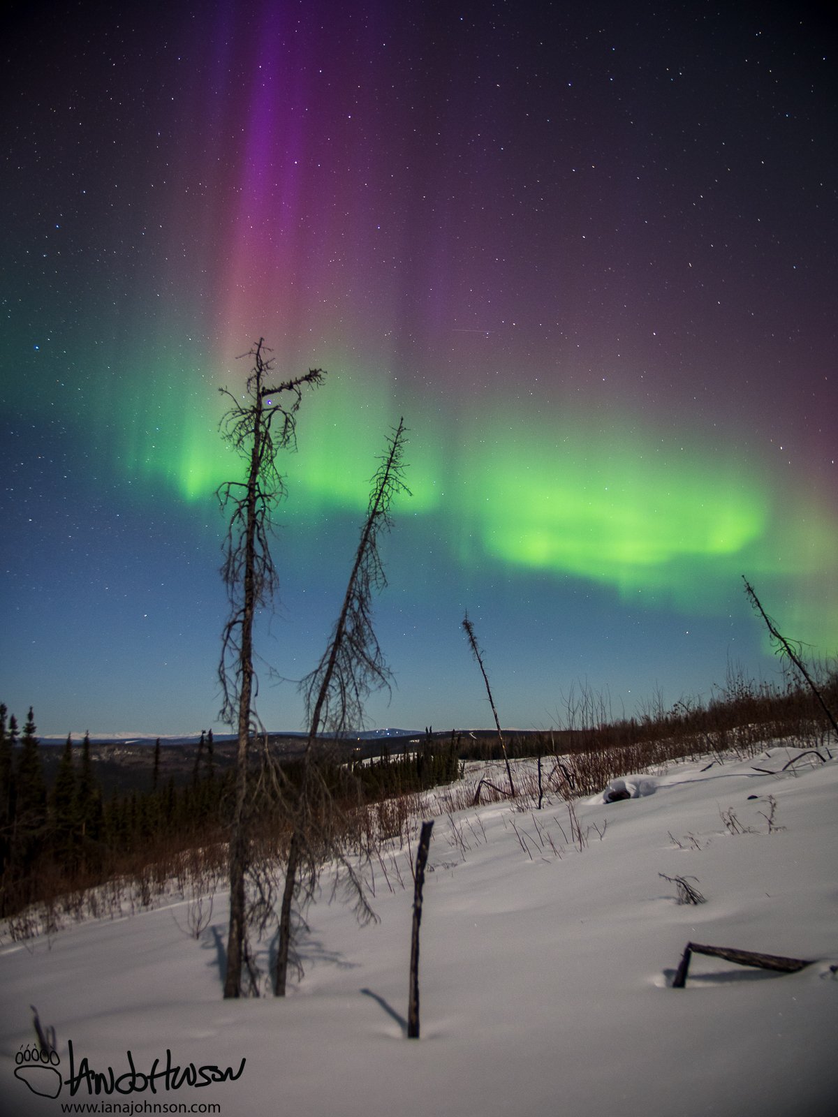 The purple of the aurora spread out across the sky.