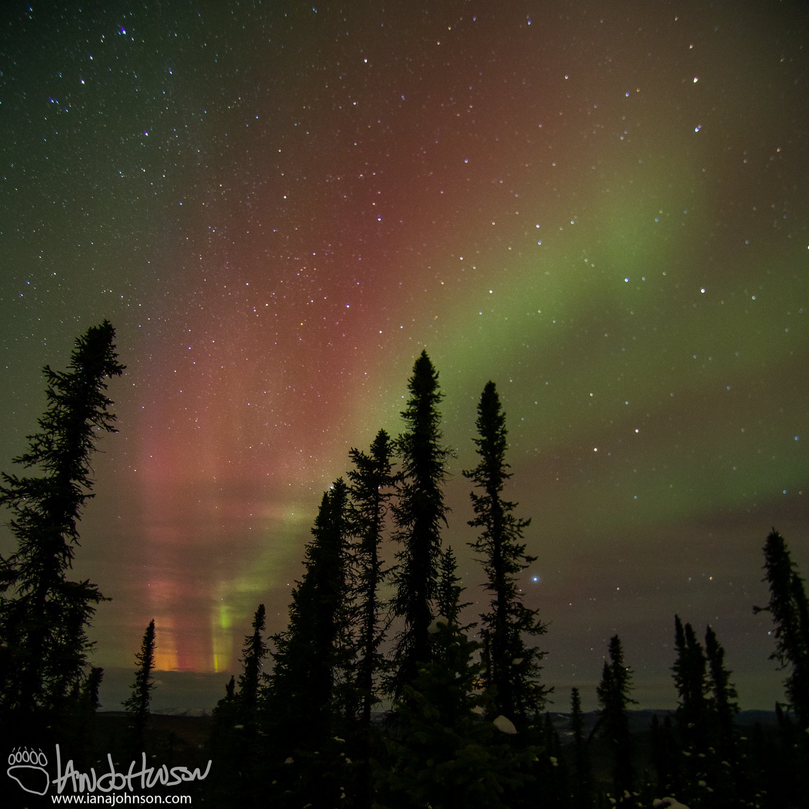 "Coronal Hole Reds"