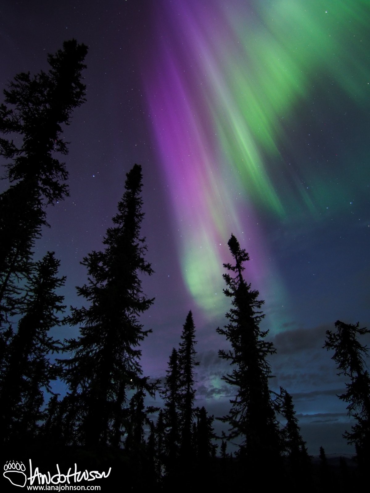One of my best aurora shots to date! I love the colors and banding in this shot.