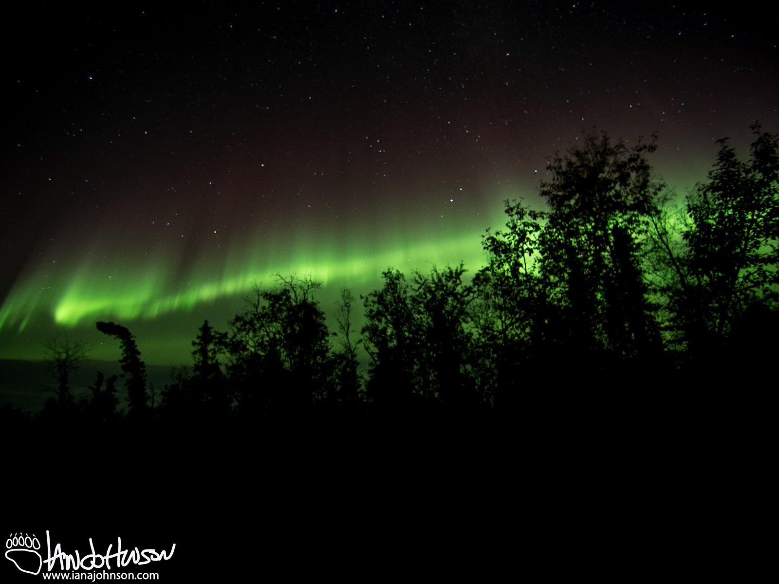 This image was captured with my camera pointed directly to the south. Intense greens that reach far into the sky.