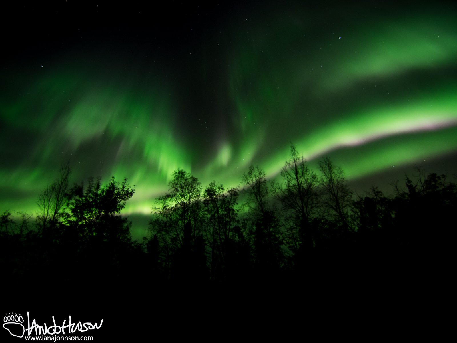 Multiple bands of aurora swirl together.