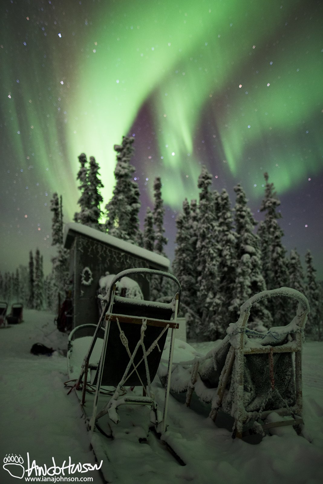This image of empty sleds beckons the viewer to come take a seat and enjoy a beautiful show.