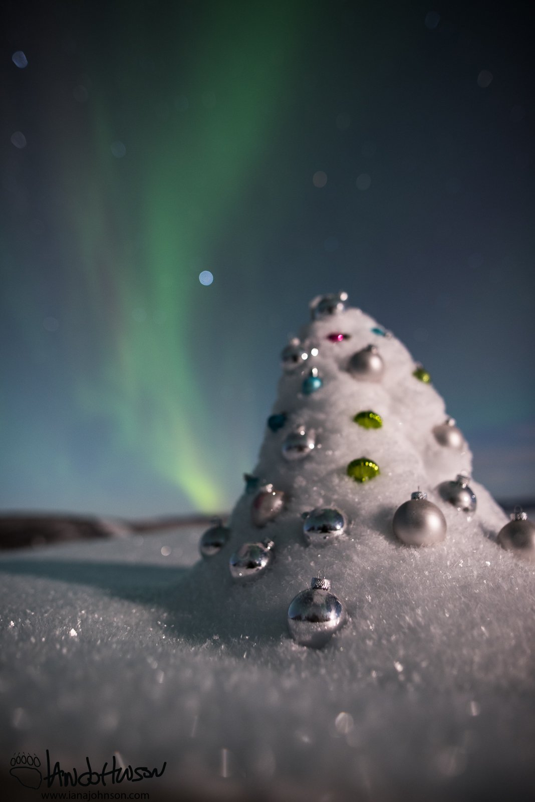 Aurora Christmas Tree