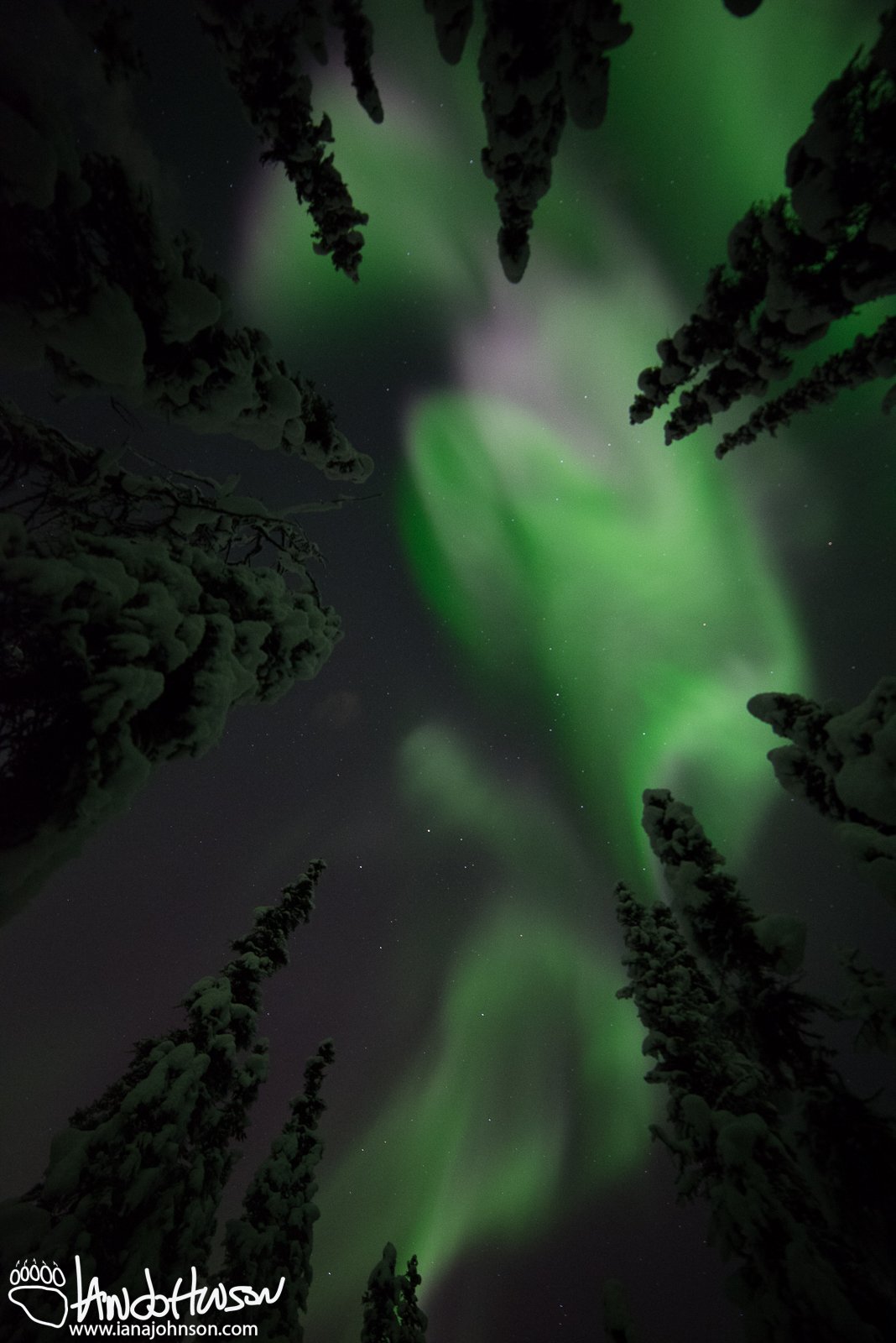 Faded Pink Aurora