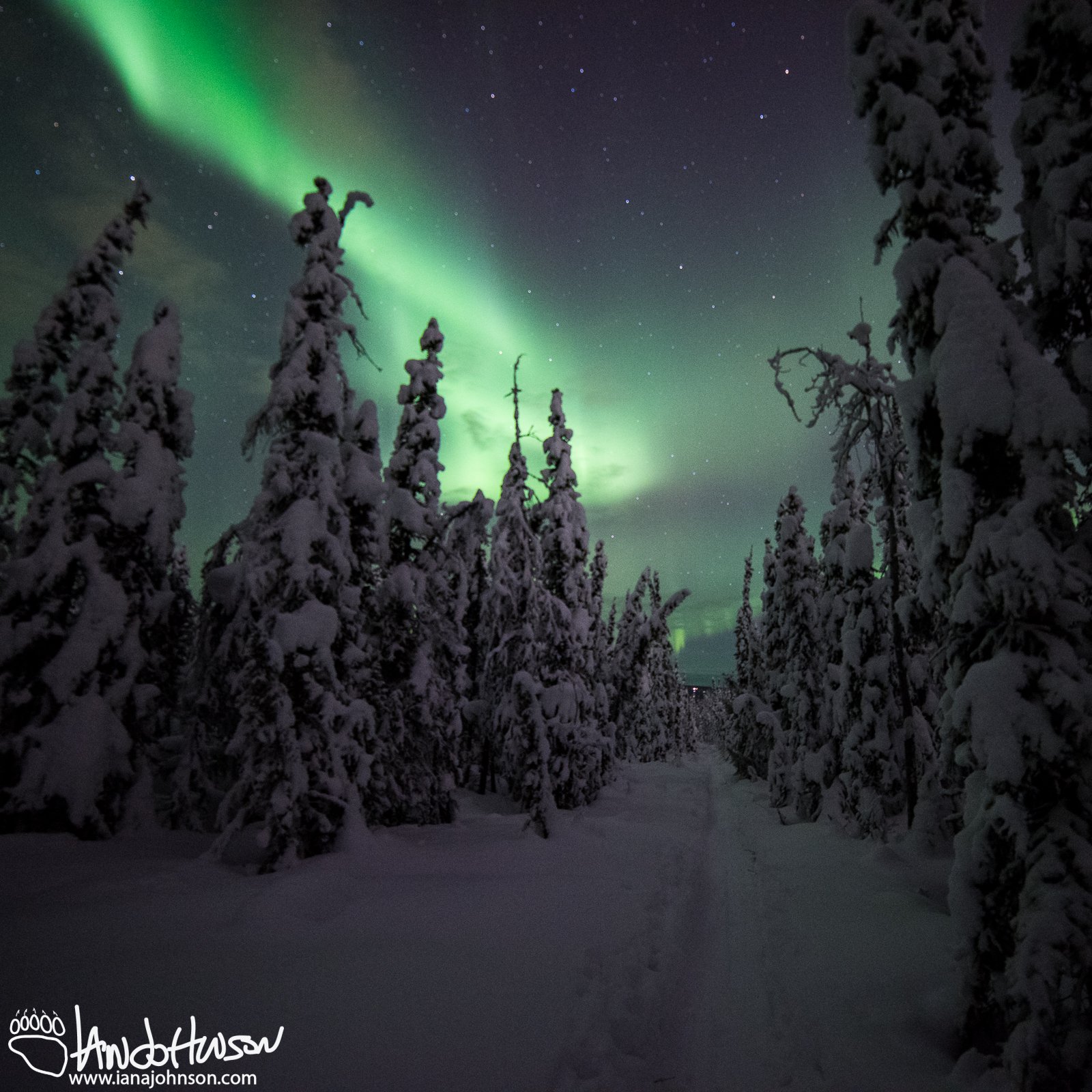 Moving Left Aurora