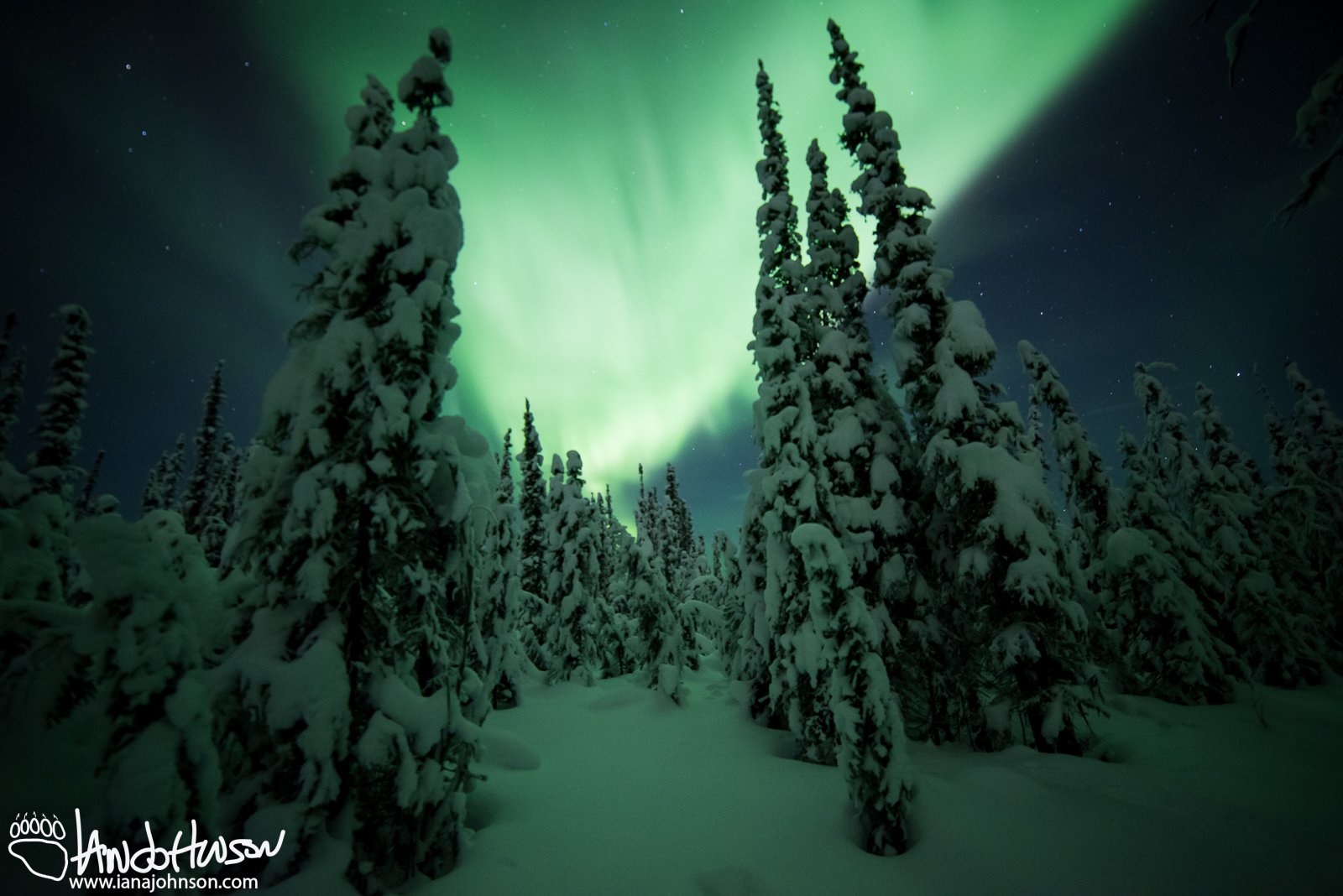Whole Sky of Aurora