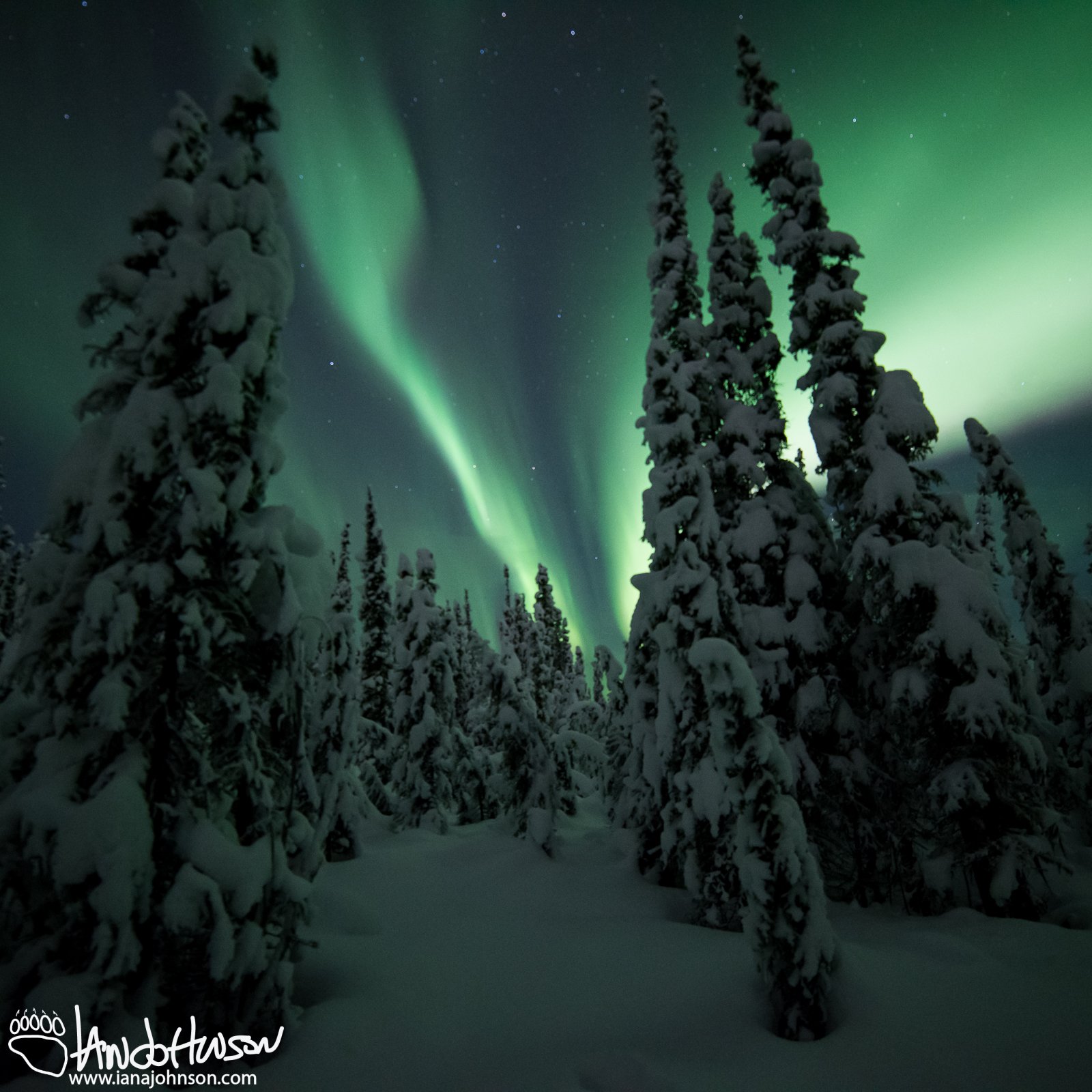 Building Aurora