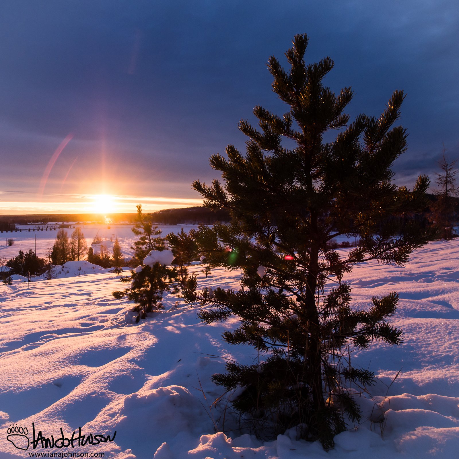 Golden Hour Sunset at the University of Alaska, Fairbanks.