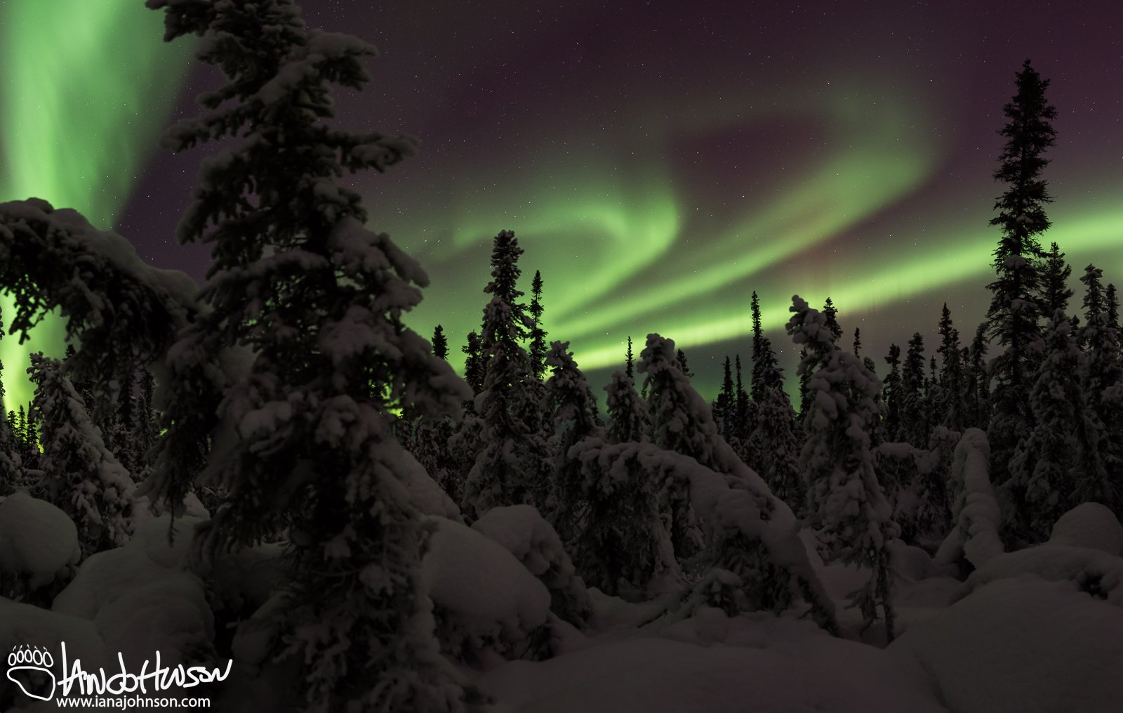 DSC_8686-Pano
