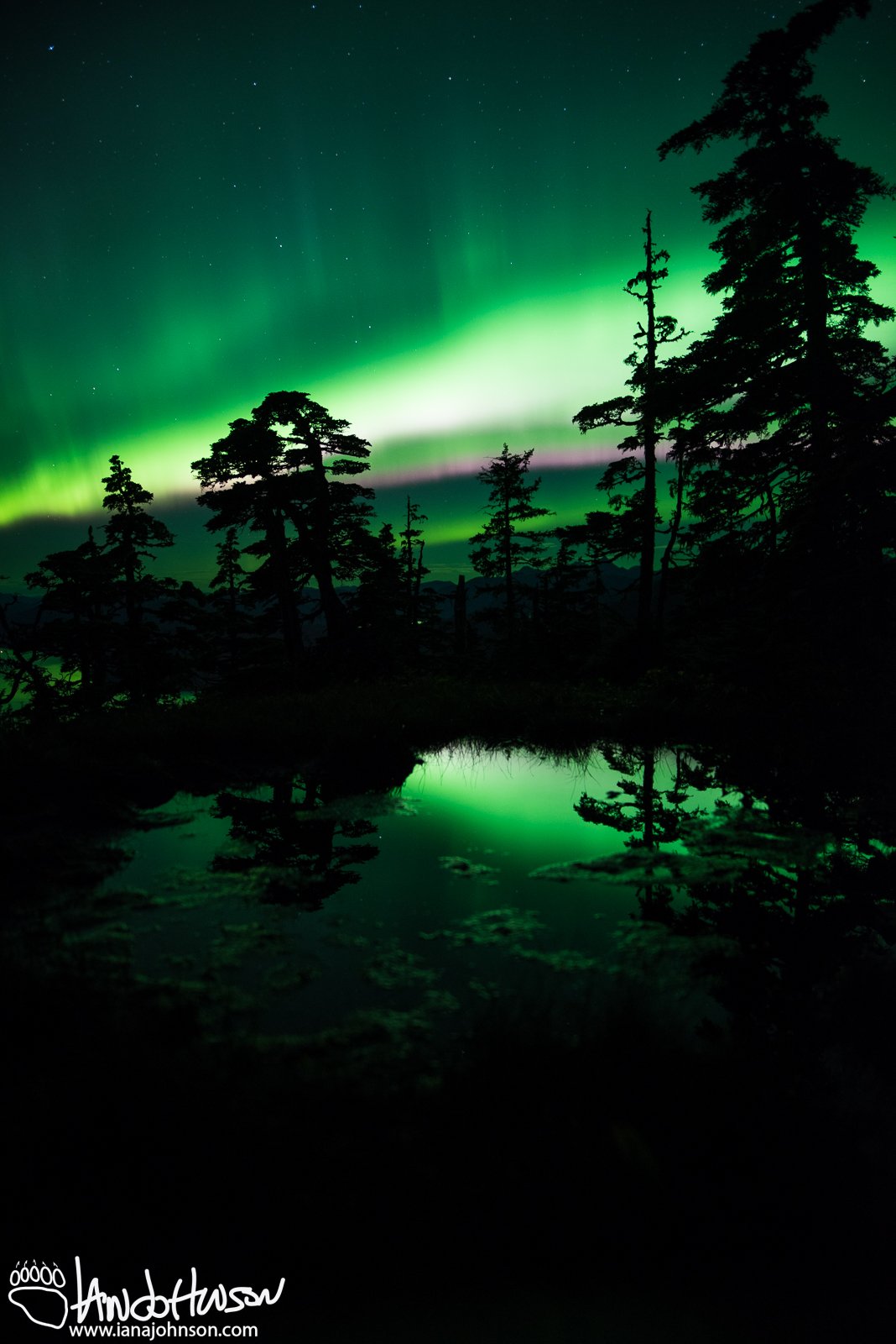 Aurora Borealis, Sitka Alaska, Harbor Mountain, Green Aurora, Purple Aurora, Ocean, Mountains