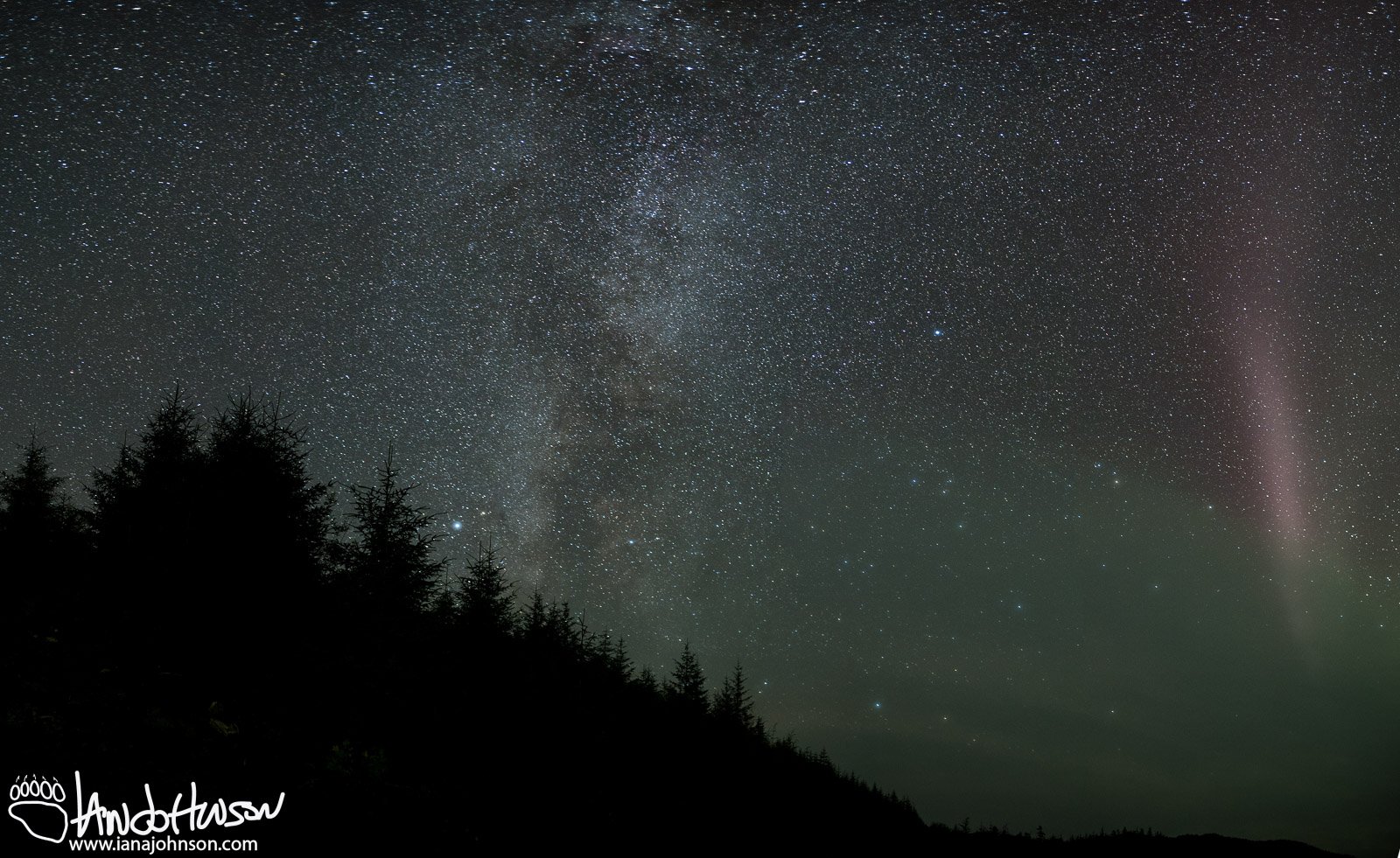 DSC_3946-Pano
