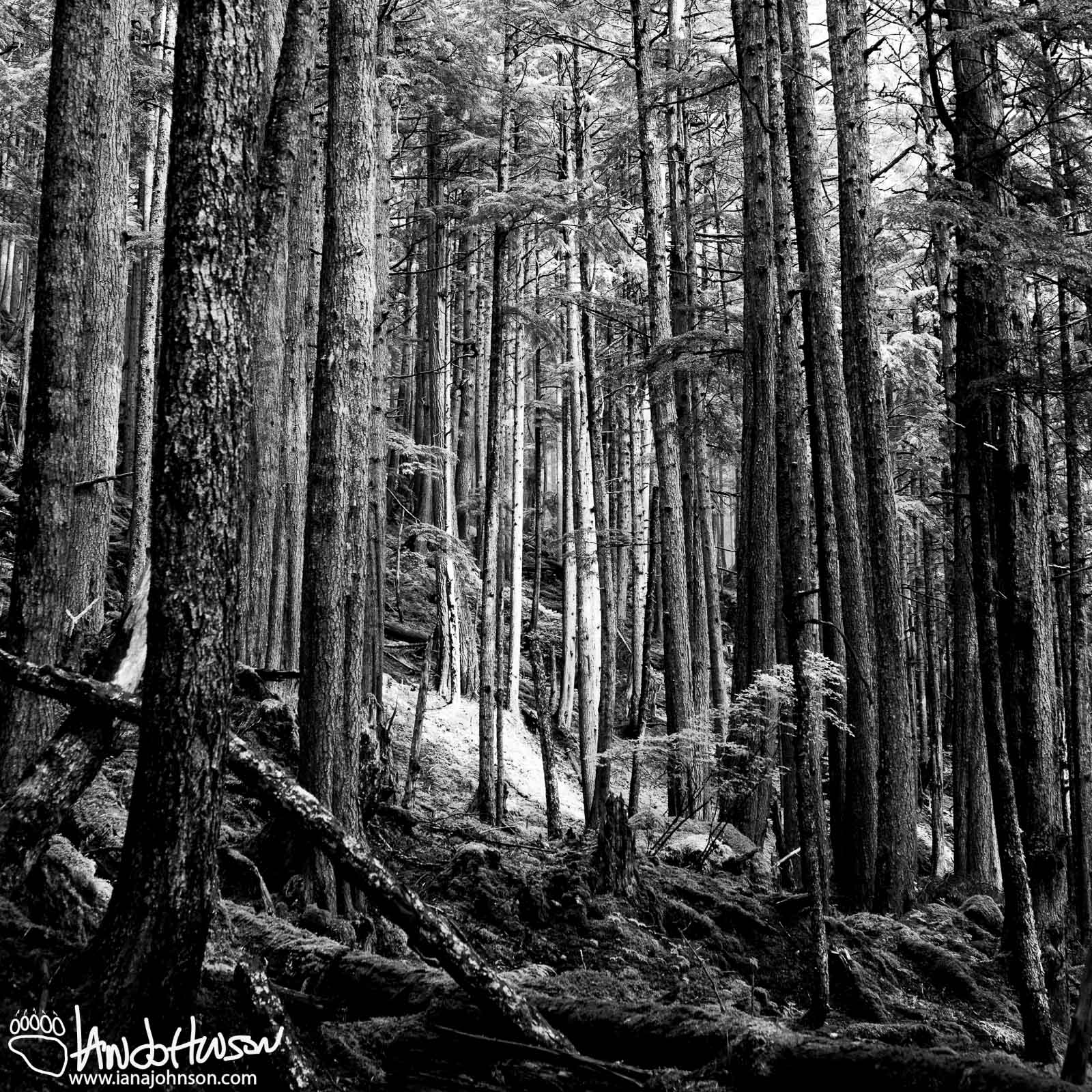 DSC_1746