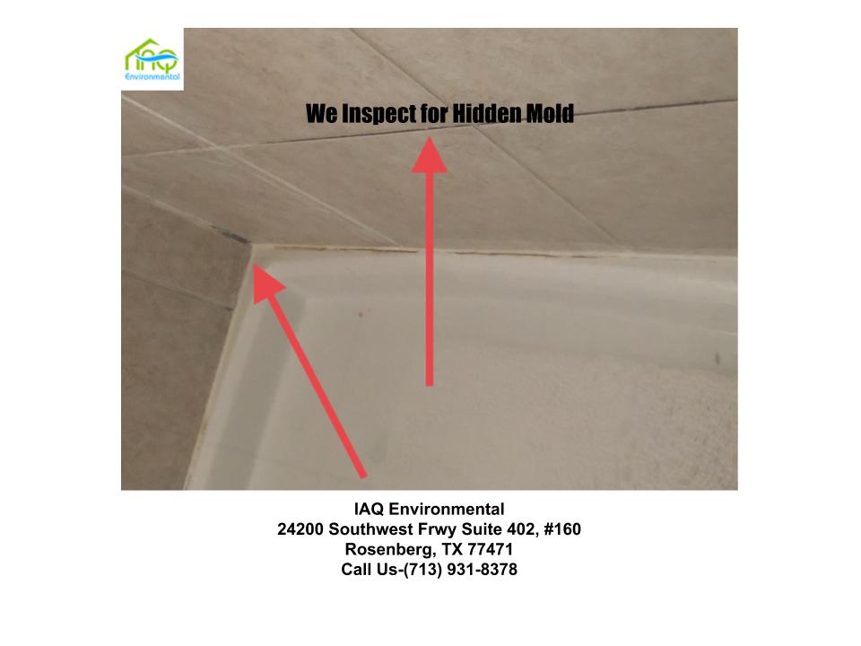 Our mold inspectors will do . Mold Inspection And Testing Mold Clearance Iaq Environmental