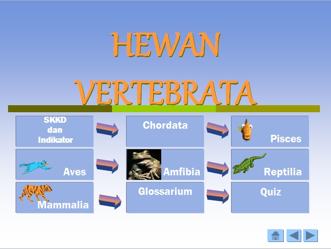 Invertebrata adalah hewan yang tidak memiliki . Kingdom Animalia Vertebrata Ibrahim Zuhdi Iz