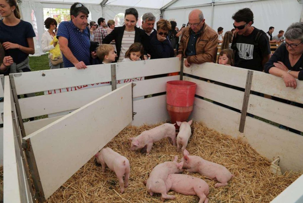 Bayonne Trois Jours De Degustation Et D Animations Dans Le Cadre De La Foire Au Jambon Flipboard