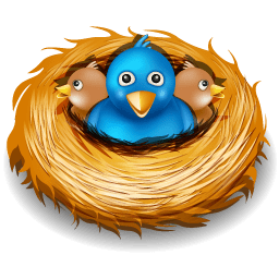 Bird Nest Drawing Cartoon - How To Draw A Bird S Nest With Eggs Youtube :