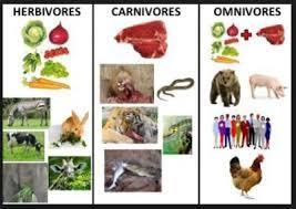 Sebutkan 10 nama hewan, jenis makanannya apa dan termasuk jenis hewan  Herbivora, karnivora, dan - Brainly.co.id