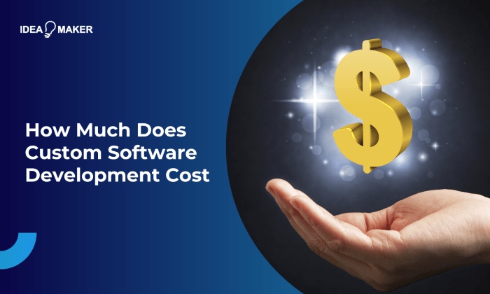 How Much Does Custom Software Development Cost How Much Does Custom Software Development Cost