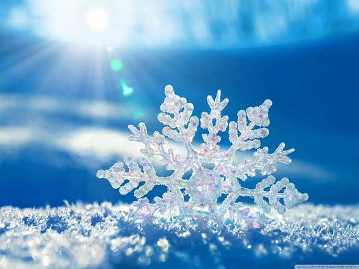 La Neve A Settembre « Ideebassotte 393_x_524_jpg