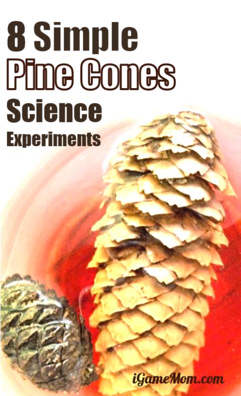 First, i had my kids select a few pinecones from their collection to . Pine Cone Science Experiments For Kids