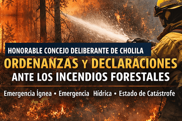 El HCD de Cholila comunica las ordenanzas y declaraciones vinculadas a los incendios forestales