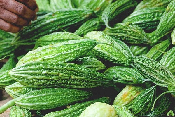 Walaupun Rasanya Pahit, 5 Makanan Alami Cocok Jaga Kesehatanmu!