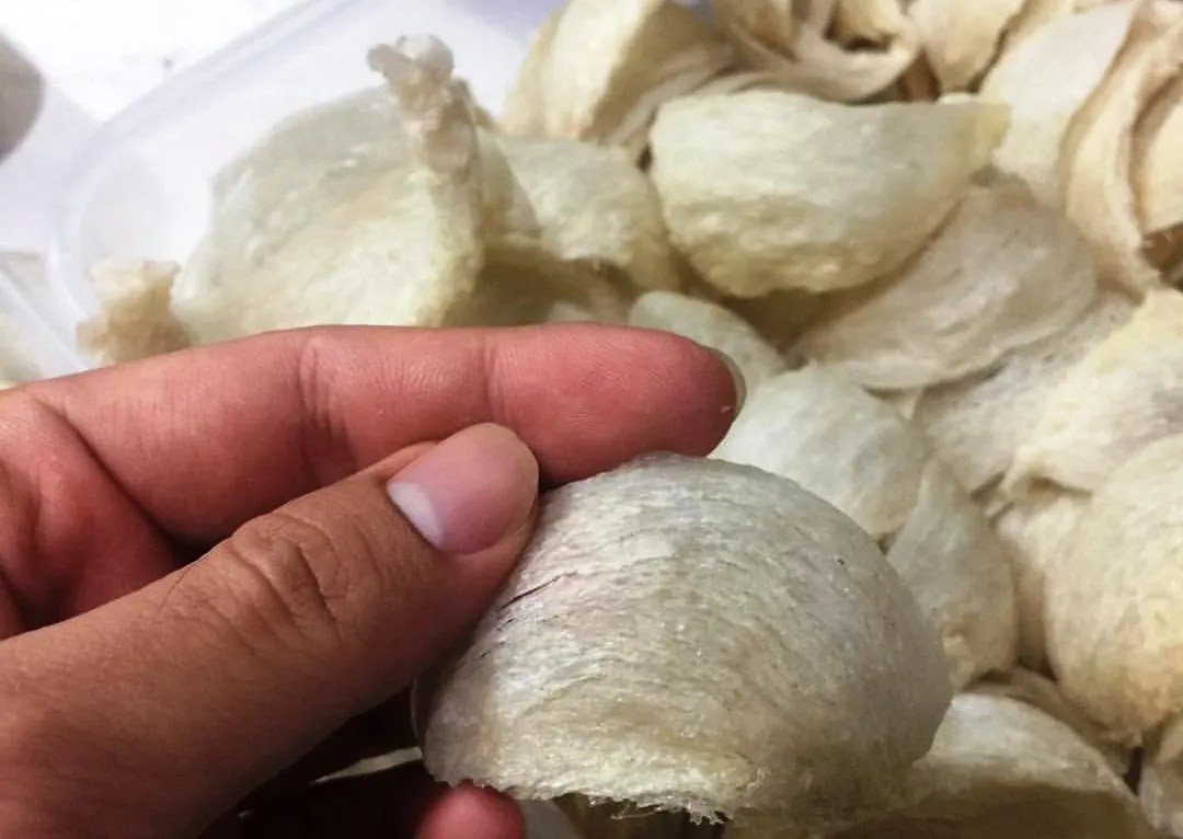 Luar Biasa, Penghasilan Usaha Sarang Walet di Mentawai Menggiurkan -  kabarminang.id