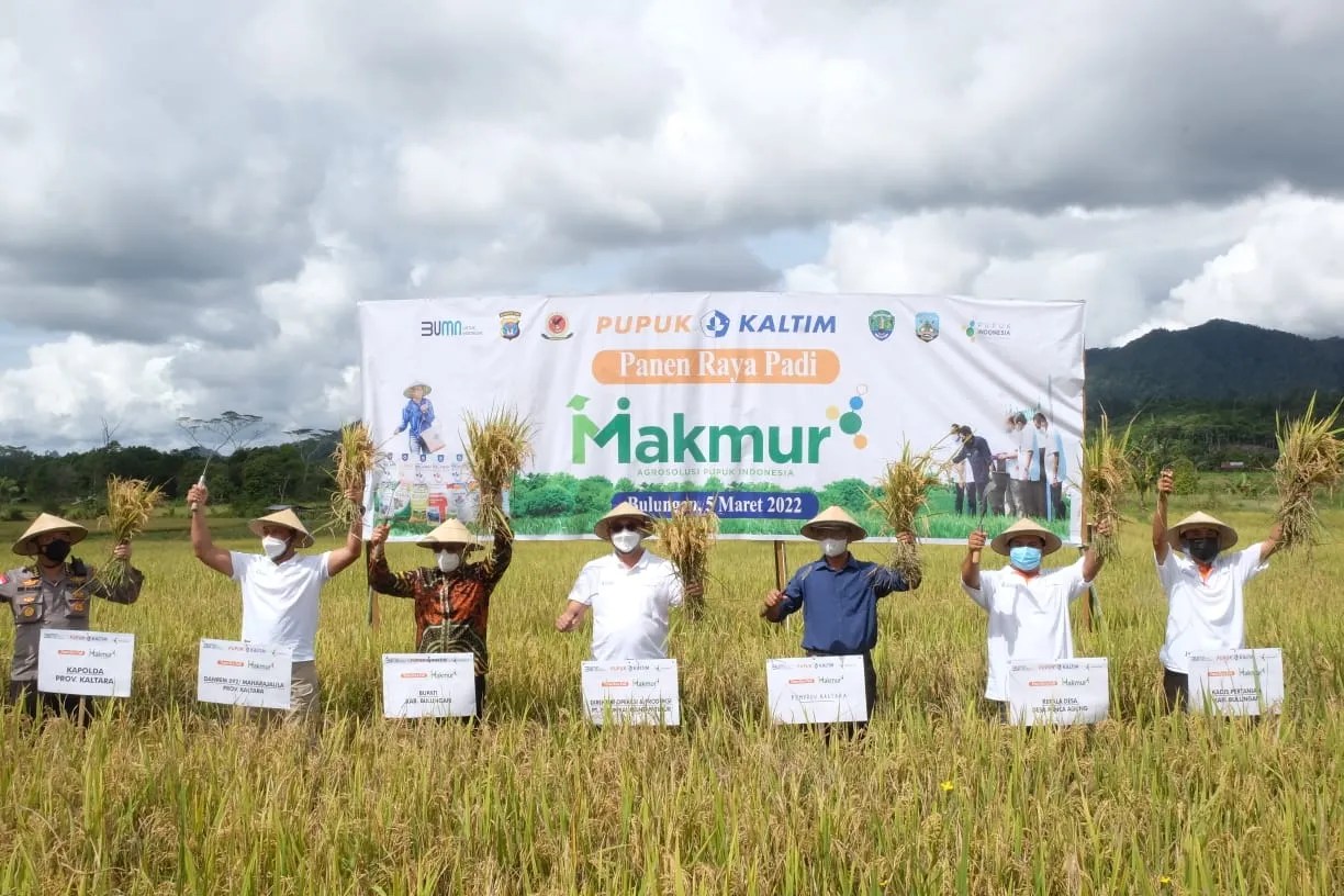 Adalah usaha meningkatkan hasil pertanian dengan cara memperluas lahan pertanian baru,misalnya membuka hutan dan semak belukar, . Program Makmur Pkt Tingkatkan Produktivitas Padi Bulungan Hingga 150 Persen Ibukotakini Com