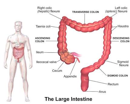 Redundant Colon', Apa Itu? | The YellowPages