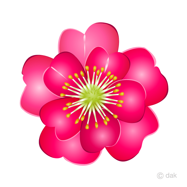 Camellia camellia material camellia line drawing flower black and white sketched plant hand painted. Camellia Flower Clip Art Free Png Image Illustoon