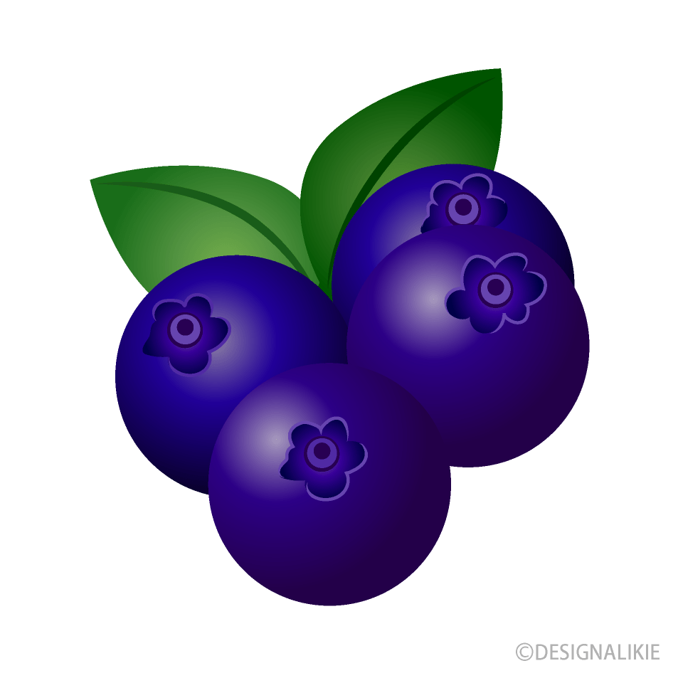 This high quality free png image without any background is about berry, fruit, delicious, drawing and blueberry. Blueberry Clip Art Free Png Image Illustoon