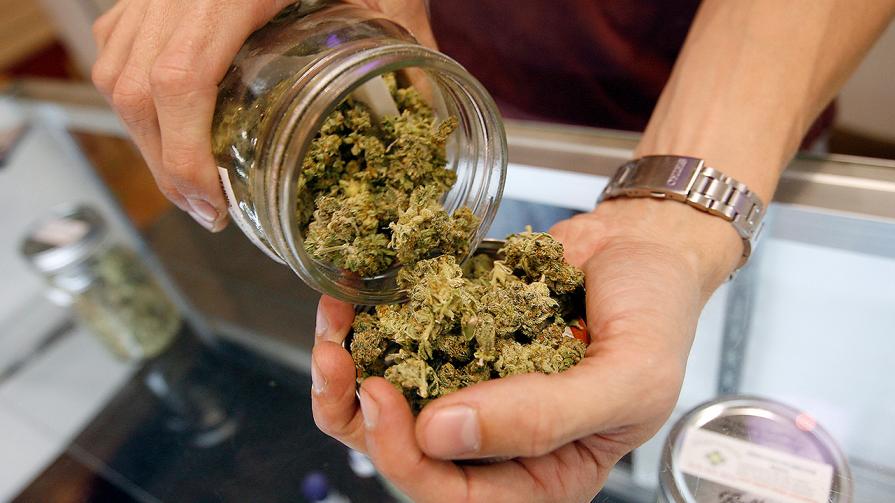 Untuk mengambil ganja boleh sama sekali berbeza dengan orang lain. 7 Fakta Menarik Mengenai Ganja Iluminasi