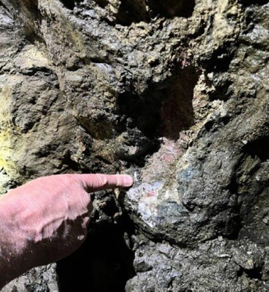 VerAI exploration tech uncovers REE potential at Sheep Creek