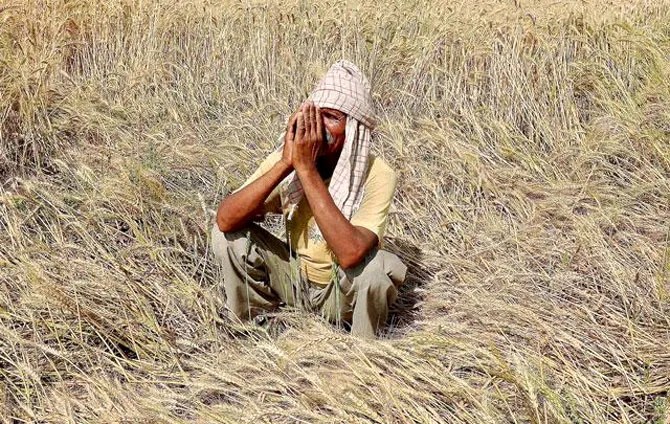 Tamilnadu council ministers 2013,tamilnadu chief minister 2013,tamilnadu finance minister 2013, tamilnadu tourism minister 2013,tamilnadu mla 2013,tamilnadu . Tamil Nadu to be declared drought-hit: CM - Rediff.com