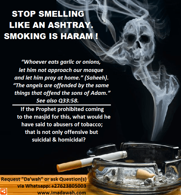 User score (908) feb 12. Smoking Is Good For You 2 Of 2 Imadawah