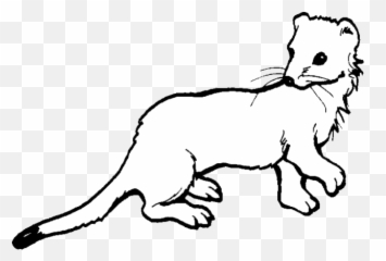 Weasel 1 coloring page supercoloring pages . Free Emoji Png Weasel Images Page 1 Emojisky Com