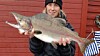 Laksefisk som laks, sjøørret og sjørøye, fra blandede bestander, . Laksefiskere Onsker Seg Ikke En Pukkellaks Pa Kroken