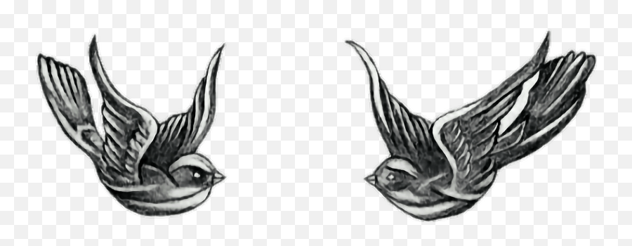 Download Hd Harry Styles Tattoos Drawing Png Tattoo Png Tumblr Free Transparent Png Images Pngaaa Com