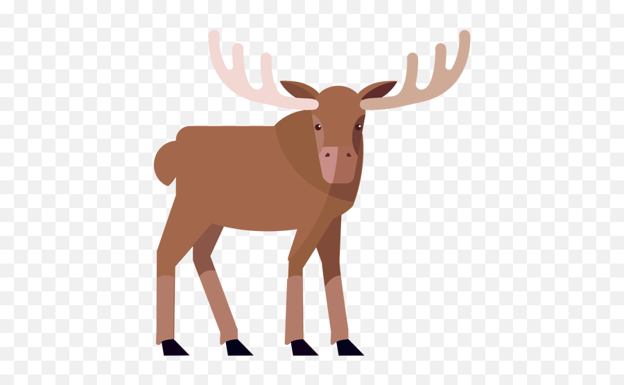 Cartoon Elk Png : Cartoon Hand Drawn Elk Free Download Vector Mammal Animal Deer Wildlife Transparent Png Pngset Com :