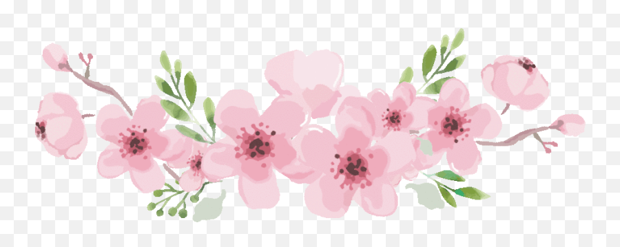 Cherry blossom flower, japanese cherry blossoms, pink cherry blossoms, branch, japanese food png 658x991px 708.51kb; Ios Animated Flowers Png Cherry Blossom Gif Transparent Cherry Blossom Flower Png Free Transparent Png Images Pngaaa Com